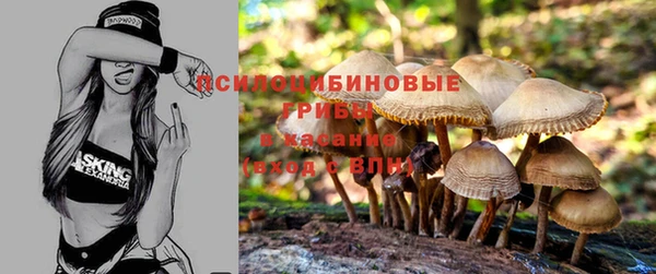 а пвп мука Алексеевка