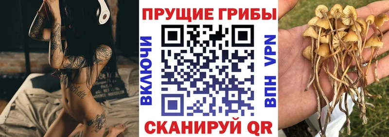 купить наркотик  OMG ссылка  Псилоцибиновые грибы Magic Shrooms  мориарти как зайти  Приволжск 